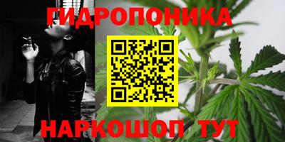 кокс Новодвинск
