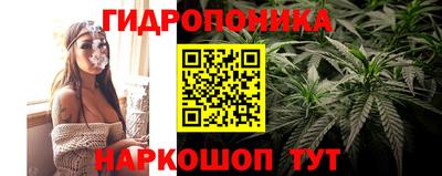 apvp Новозыбков